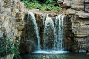 Image: Sample 1