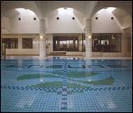 Image: Aquatic Tile Sample 2