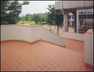 Image: Elegant Tile Sample 2
