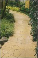 Image: Sample 1