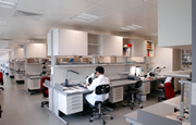 Image: Sample 1